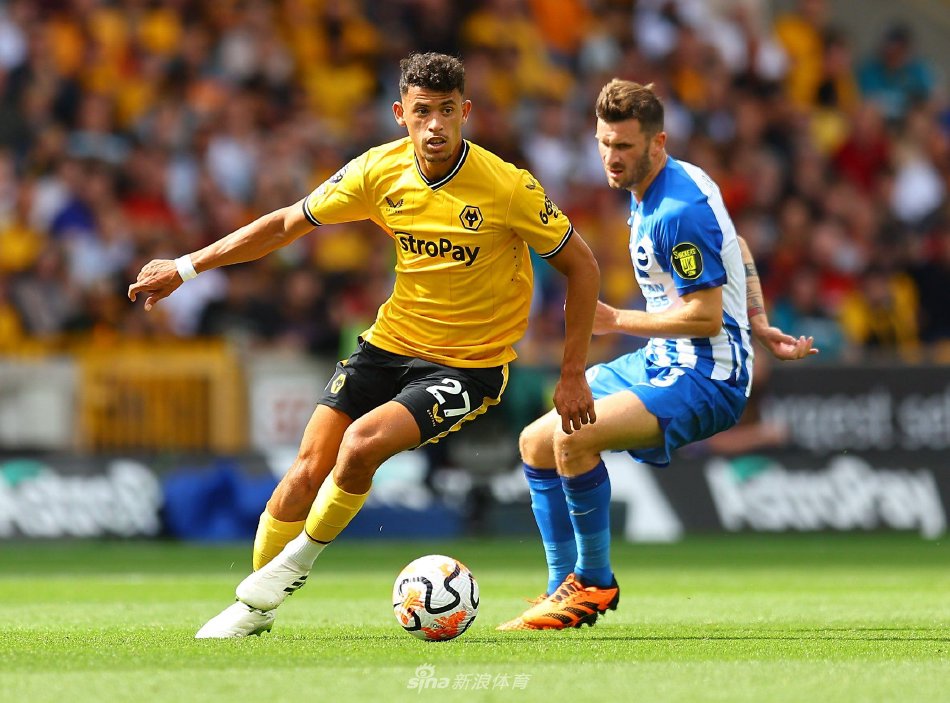 冠军大合同 冠军大合同